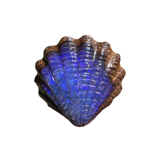 18.13 Ct fan shell boulder opal carving