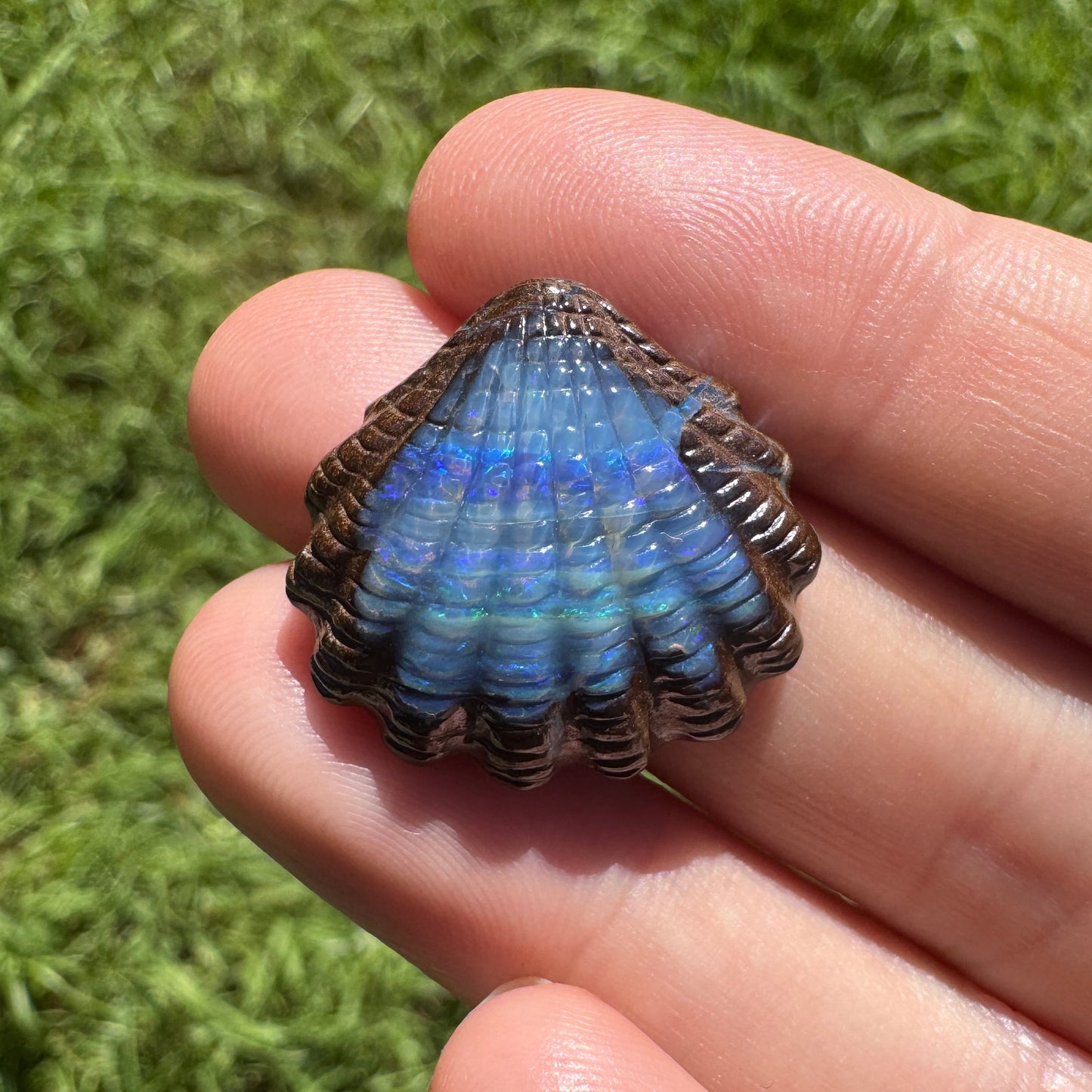 23.75 Ct fan shell boulder opal carving