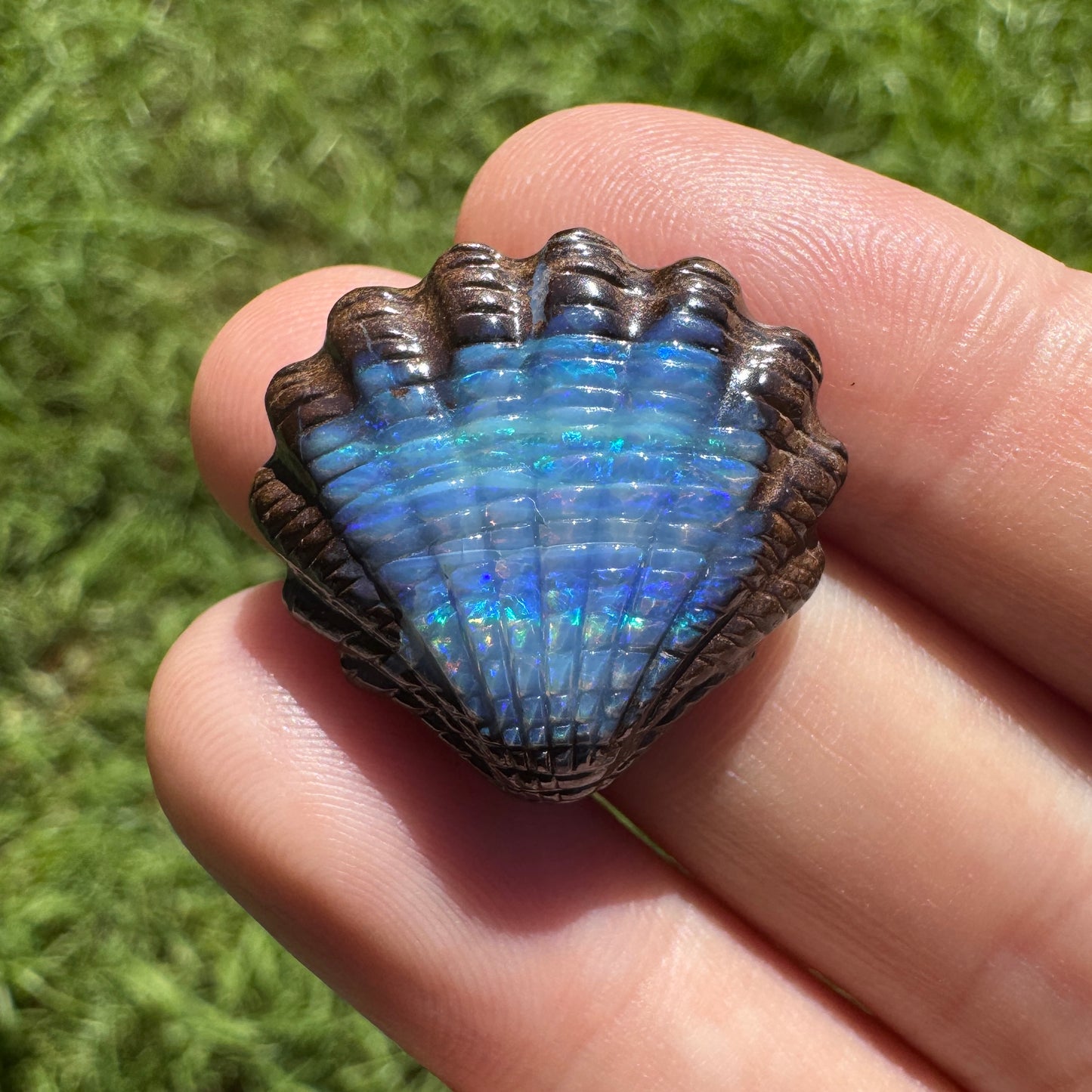 23.75 Ct fan shell boulder opal carving