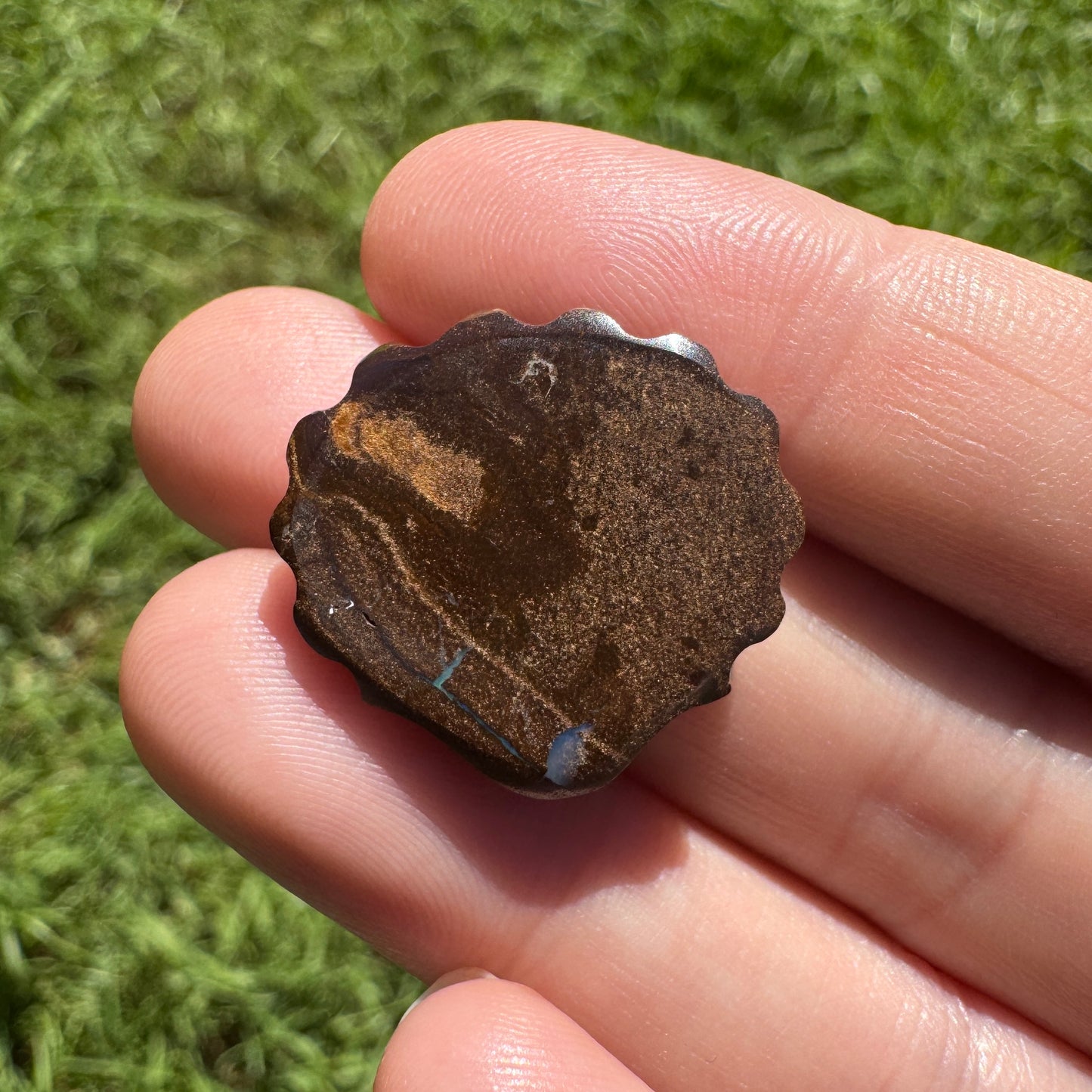 23.75 Ct fan shell boulder opal carving