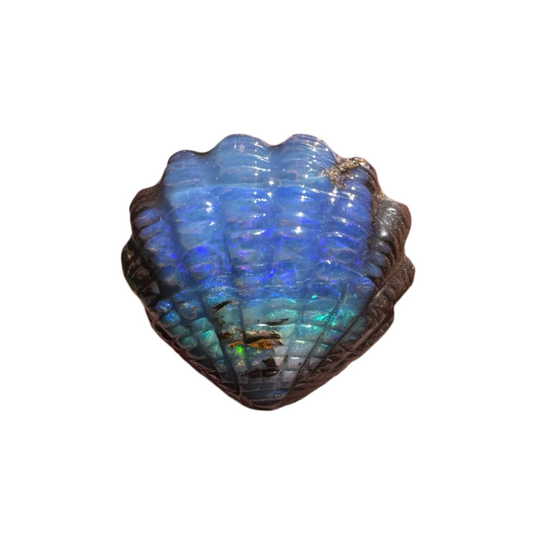 15.65 Ct fan shell boulder opal carving