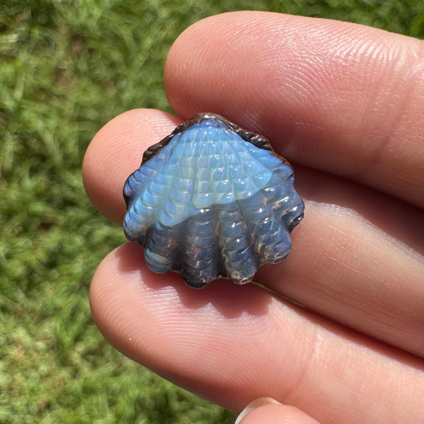 11.37 Ct fan shell boulder opal carving