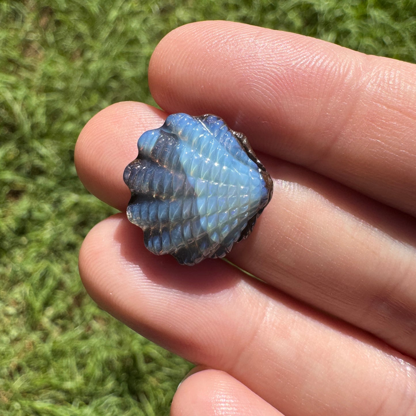 11.37 Ct fan shell boulder opal carving