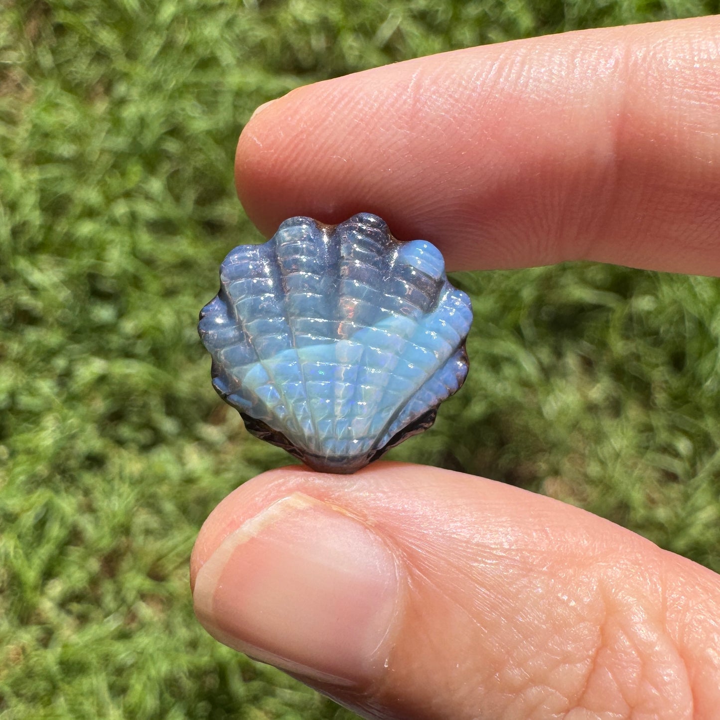 11.37 Ct fan shell boulder opal carving