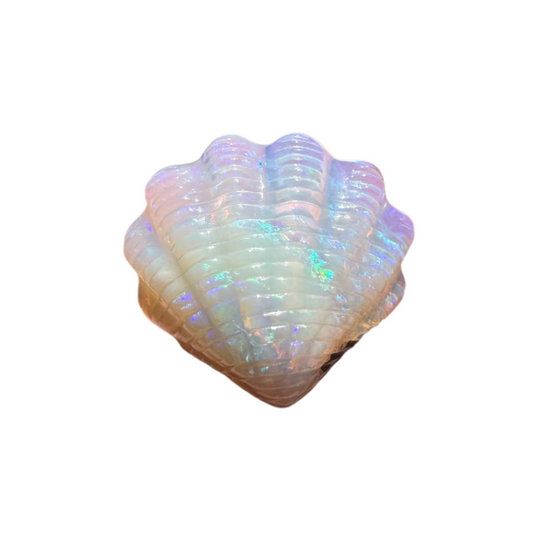 9.54 Ct fan shell boulder opal carving