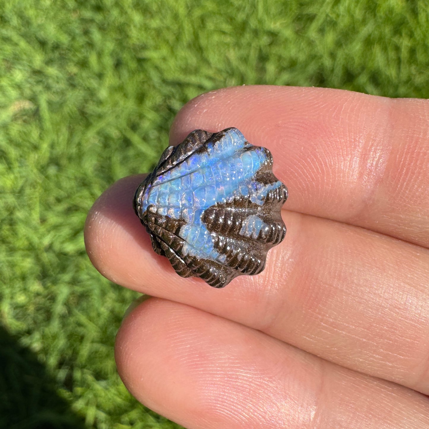 11.87 Ct fan shell boulder opal carving