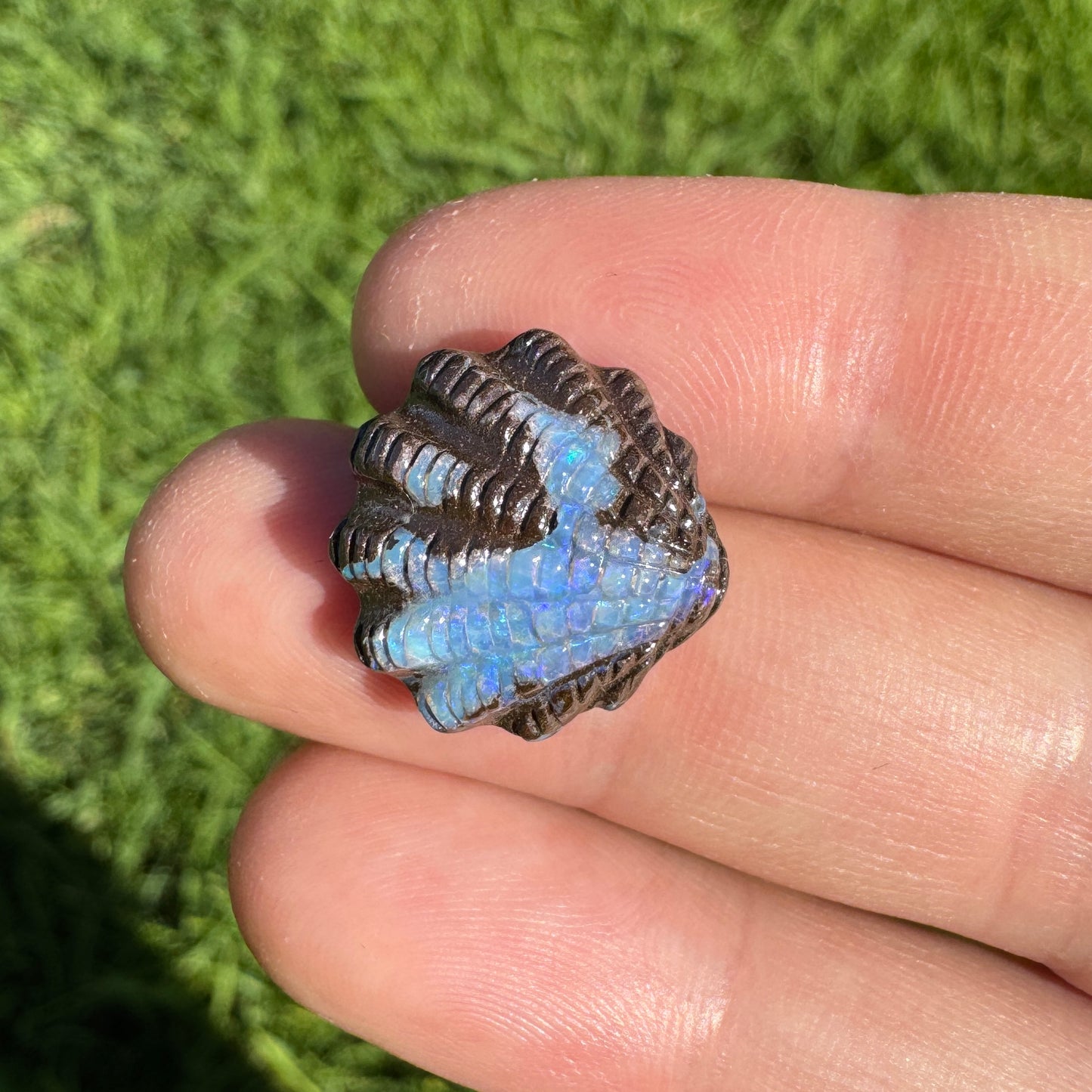 11.87 Ct fan shell boulder opal carving