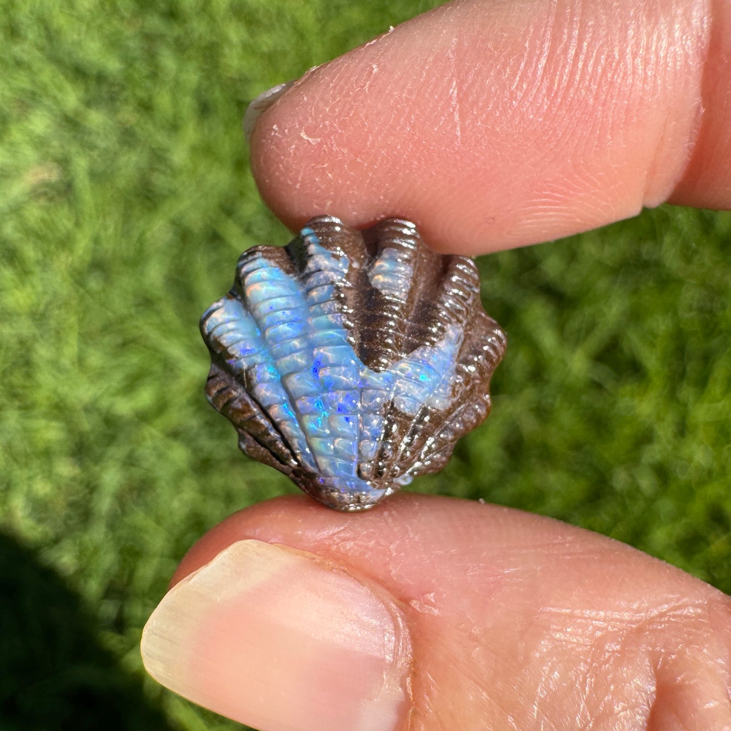 11.87 Ct fan shell boulder opal carving