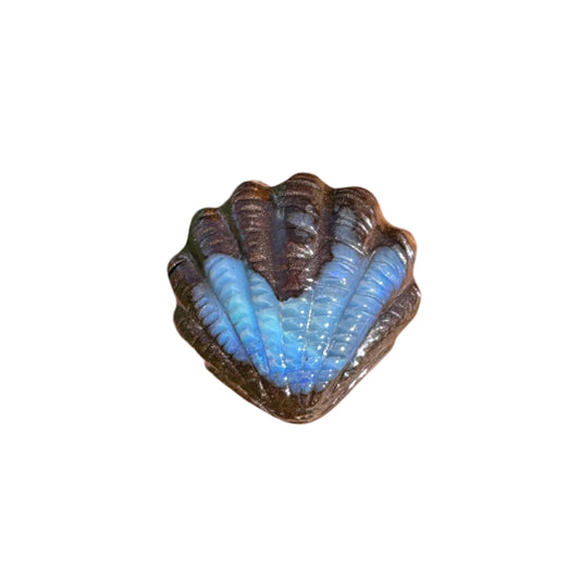 11.99 Ct fan shell boulder opal carving