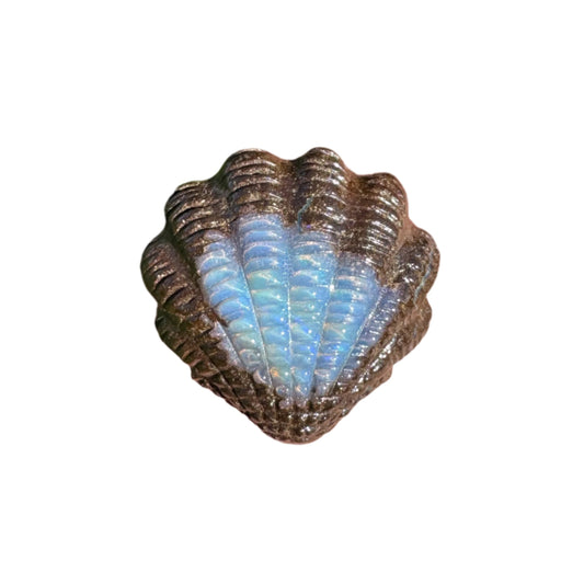 13.95 Ct fan shell boulder opal carving