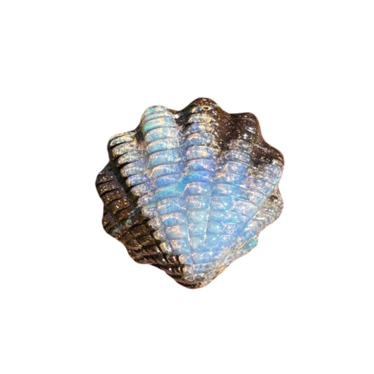 7.14 Ct fan shell boulder opal carving
