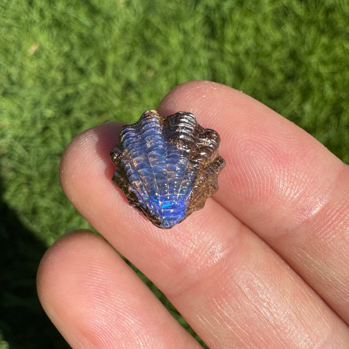 7.65 Ct fan shell boulder opal carving