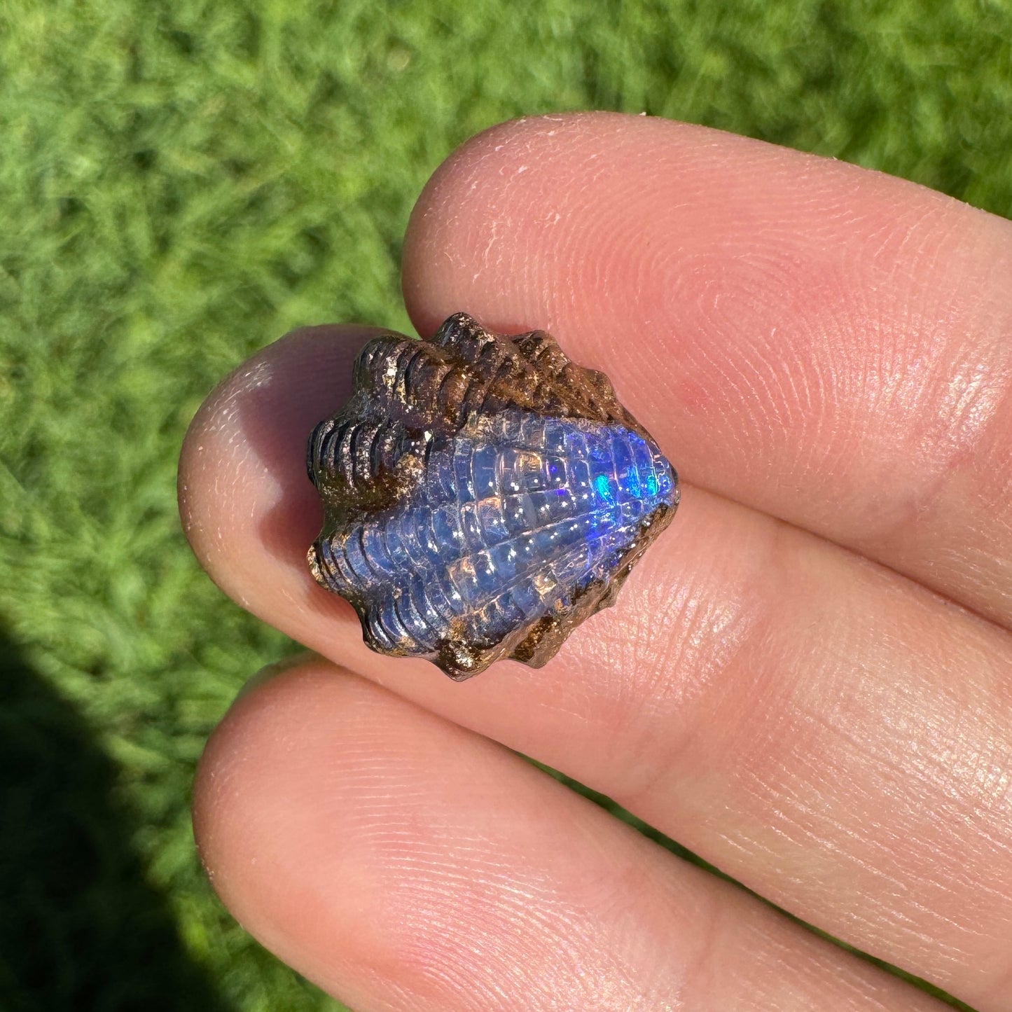 7.65 Ct fan shell boulder opal carving