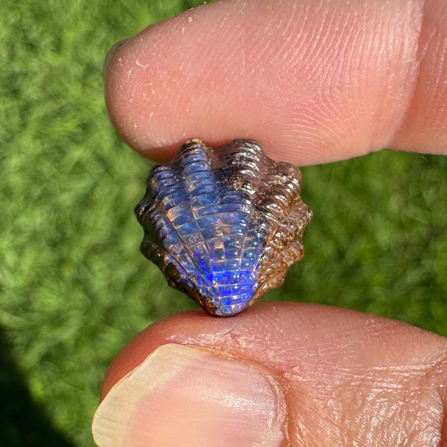 7.65 Ct fan shell boulder opal carving