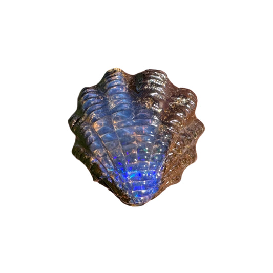 7.65 Ct fan shell boulder opal carving
