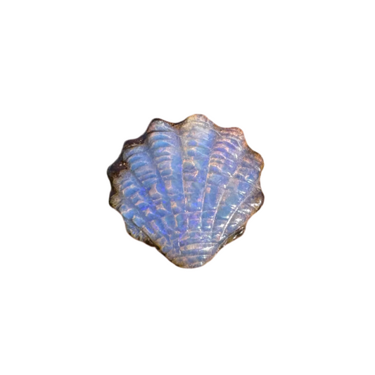 3.53 Ct small fan shell boulder opal
