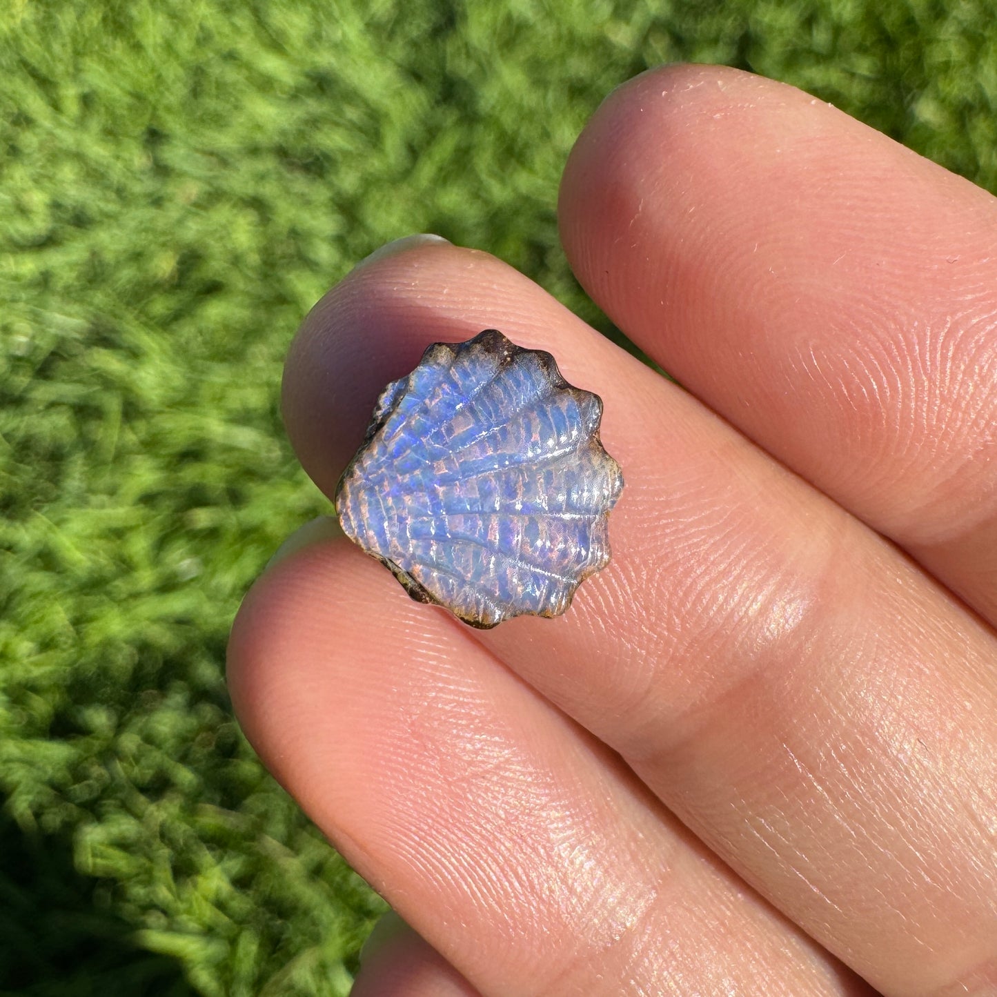 3.53 Ct small fan shell boulder opal