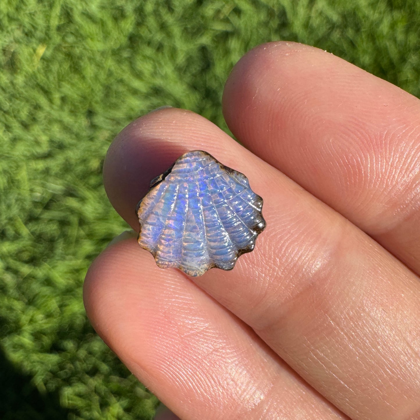 3.53 Ct small fan shell boulder opal