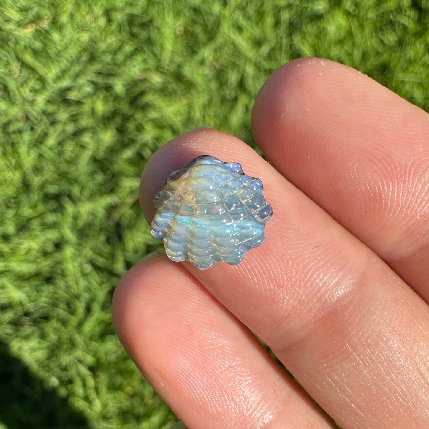 3.70 Ct small fan shell boulder opal