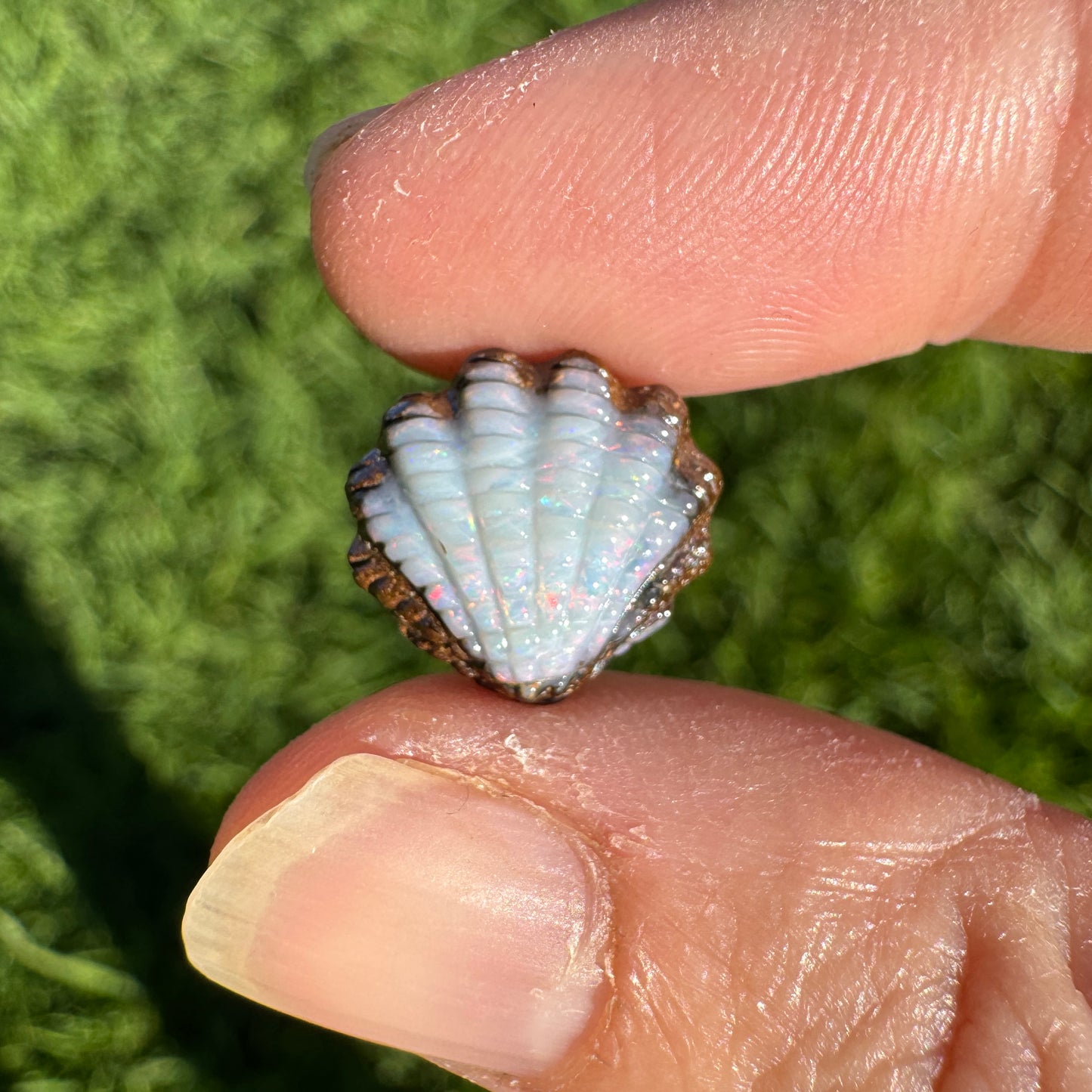 5.29 Ct small fan shell boulder opal carving