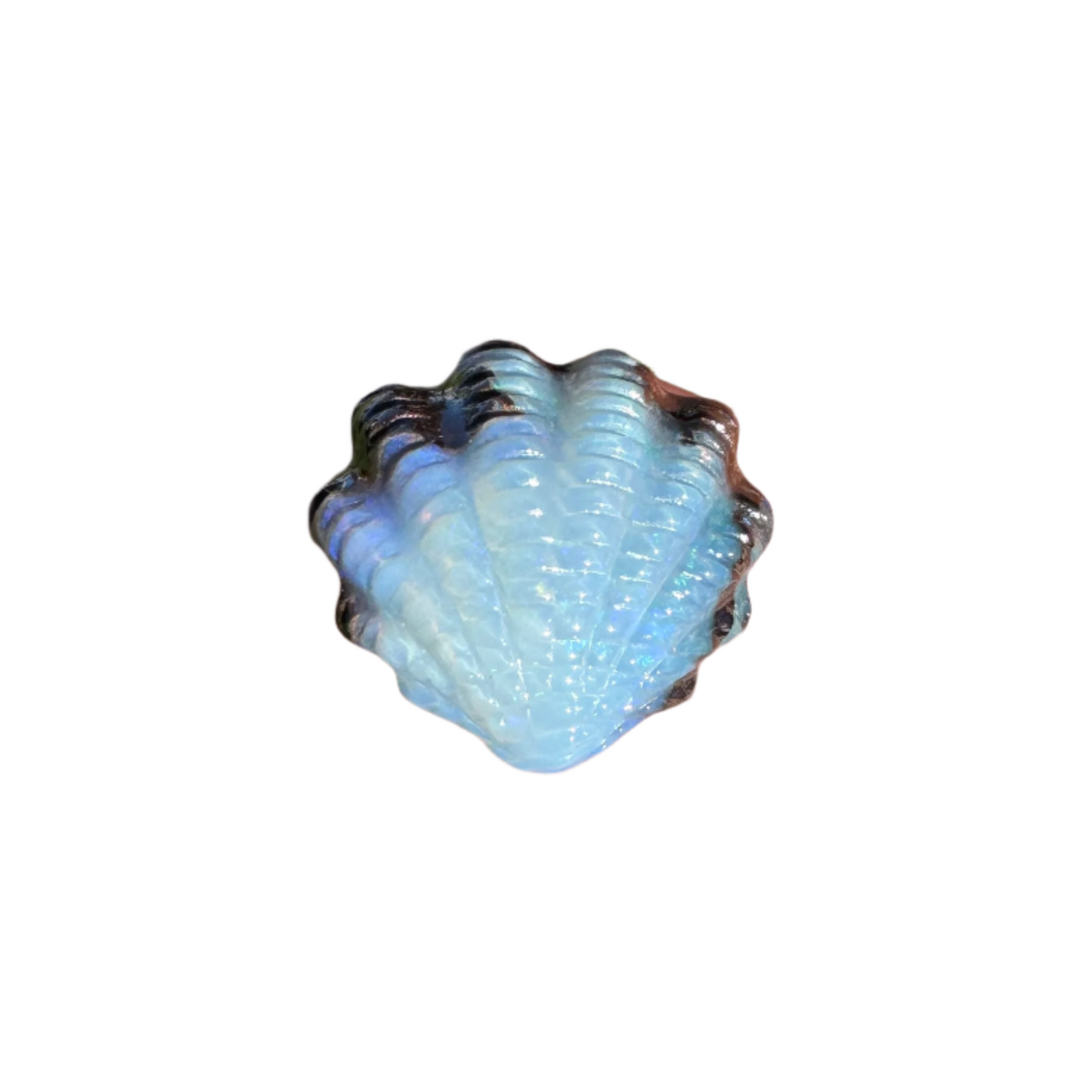 5.65 Ct small fan shell boulder opal carving
