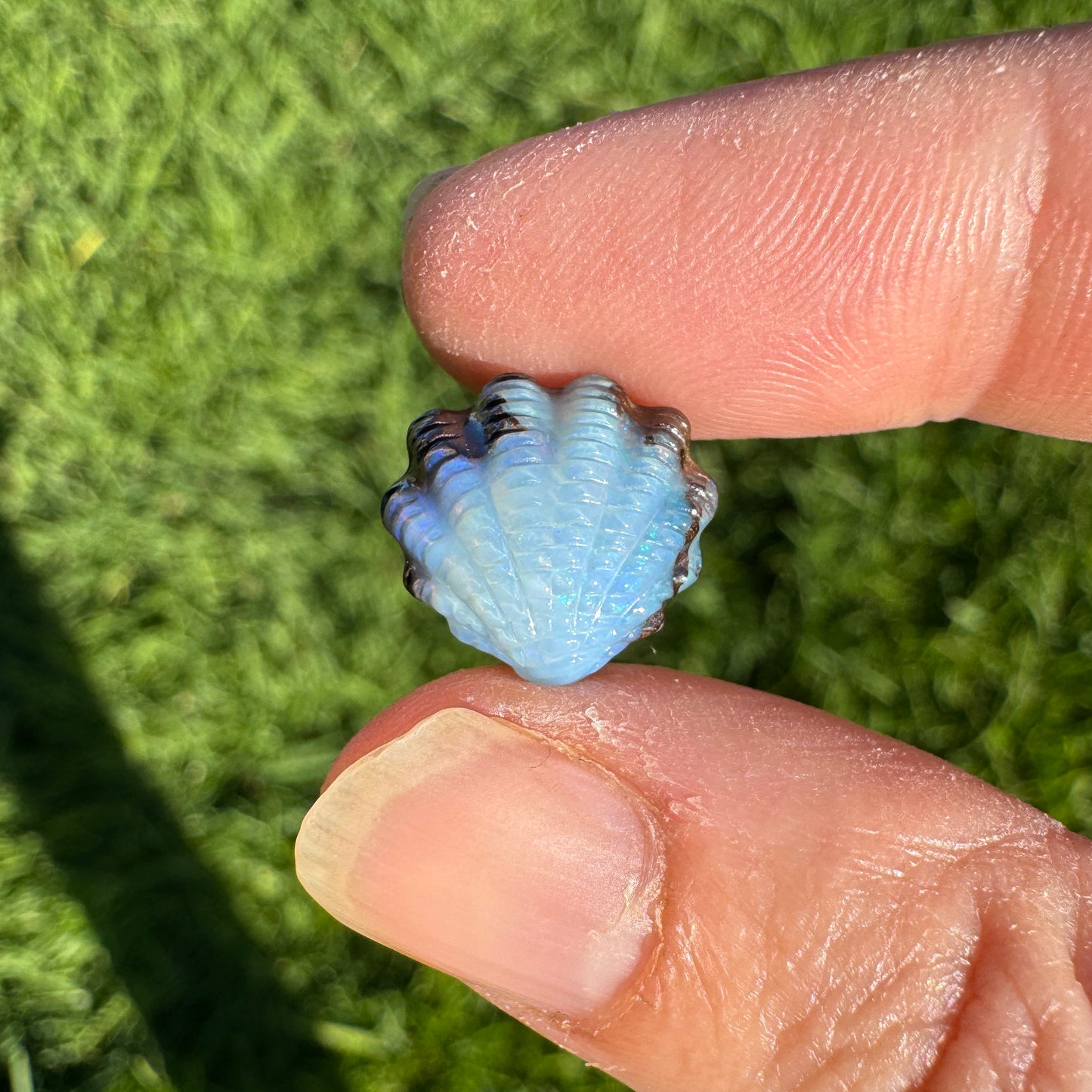 5.65 Ct small fan shell boulder opal carving