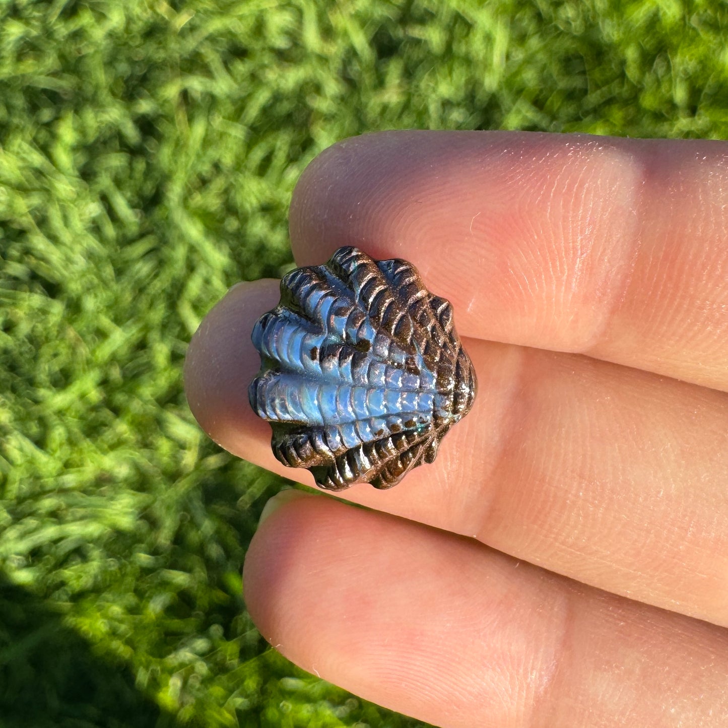 9.35 Ct fan shell boulder opal carving