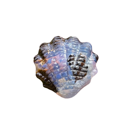 5.35 Ct fan shell boulder opal carving