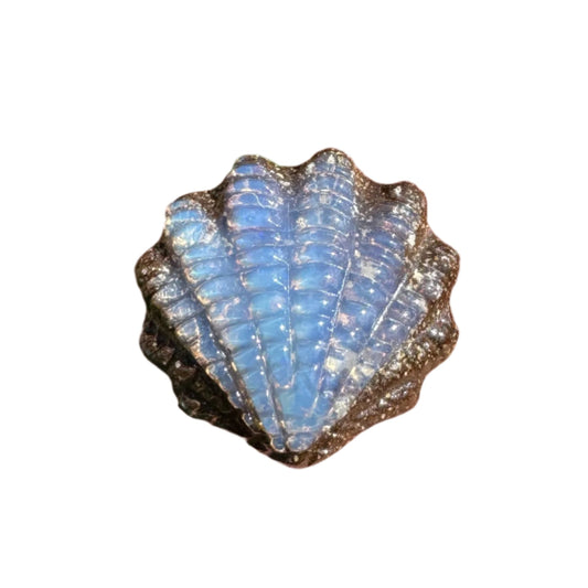 6.22 Ct fan shell boulder opal