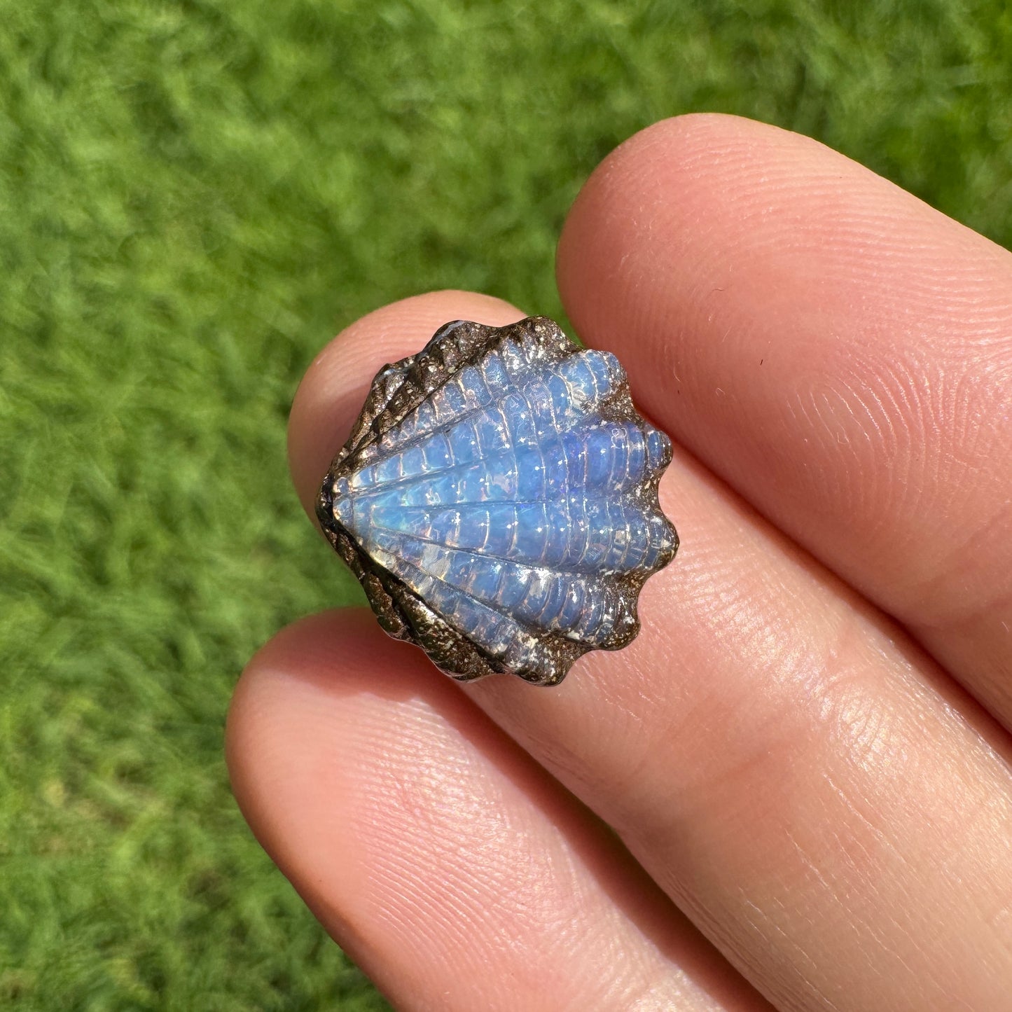 6.22 Ct fan shell boulder opal