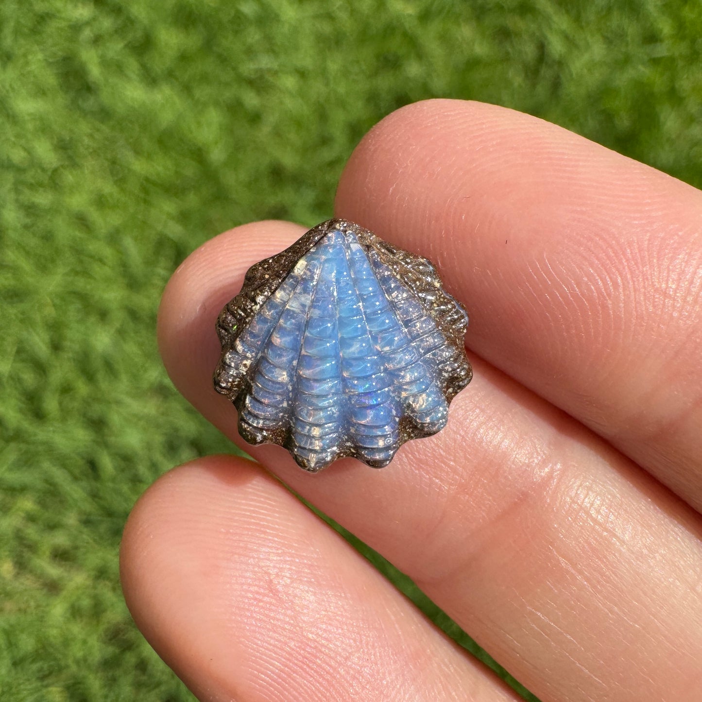 6.22 Ct fan shell boulder opal