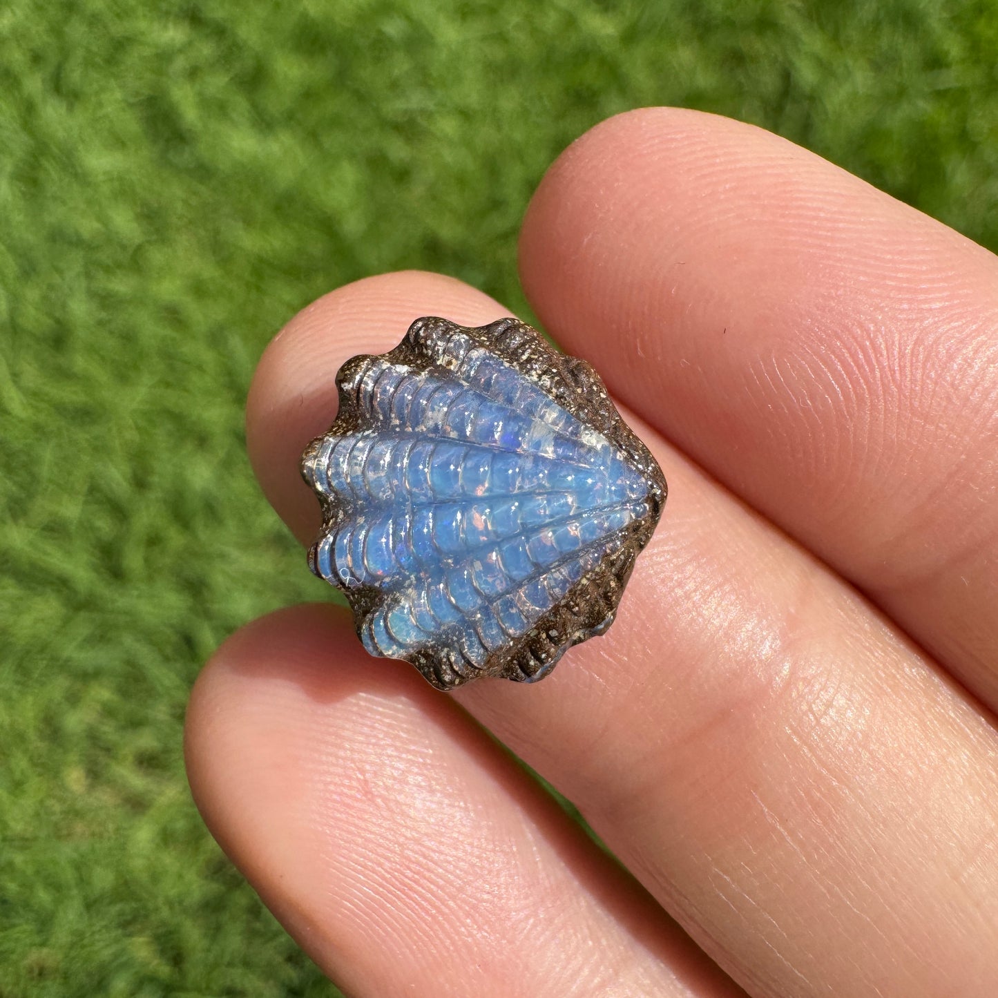 6.22 Ct fan shell boulder opal