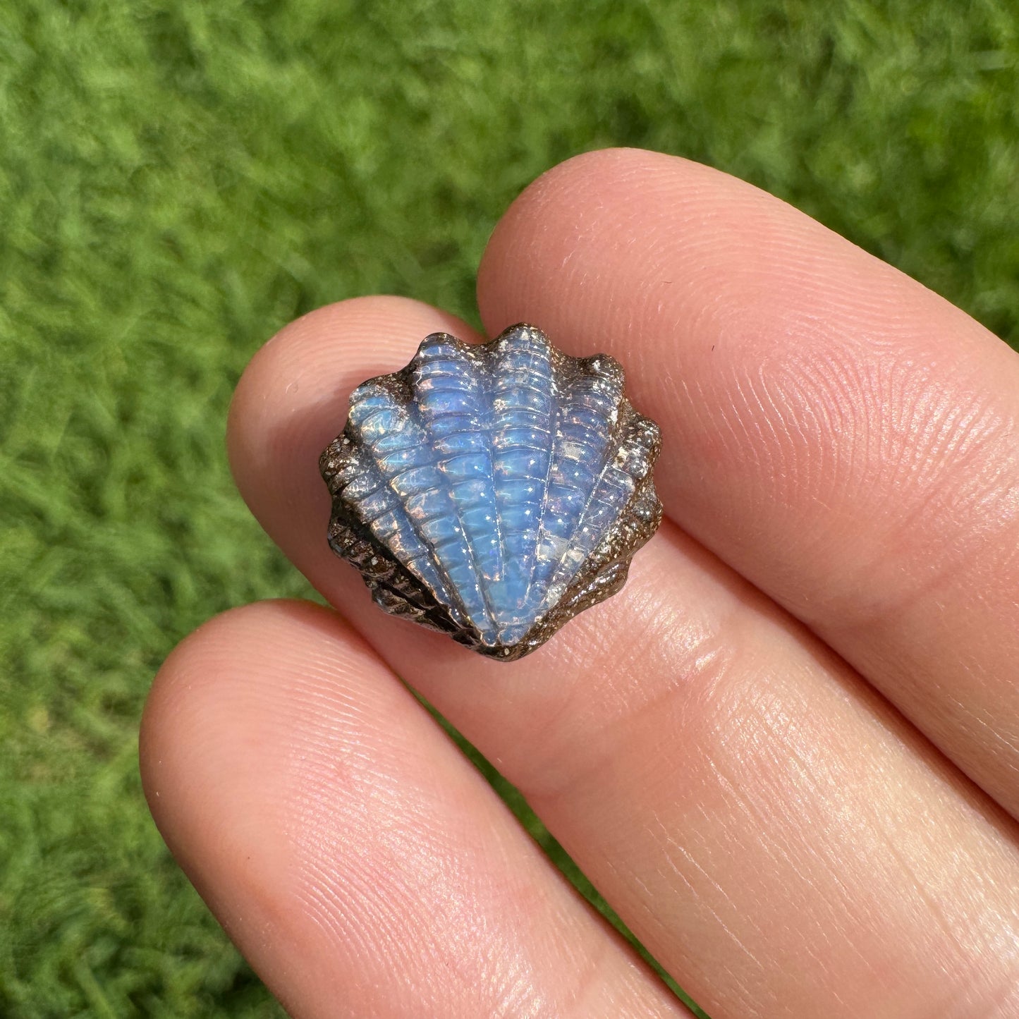6.22 Ct fan shell boulder opal