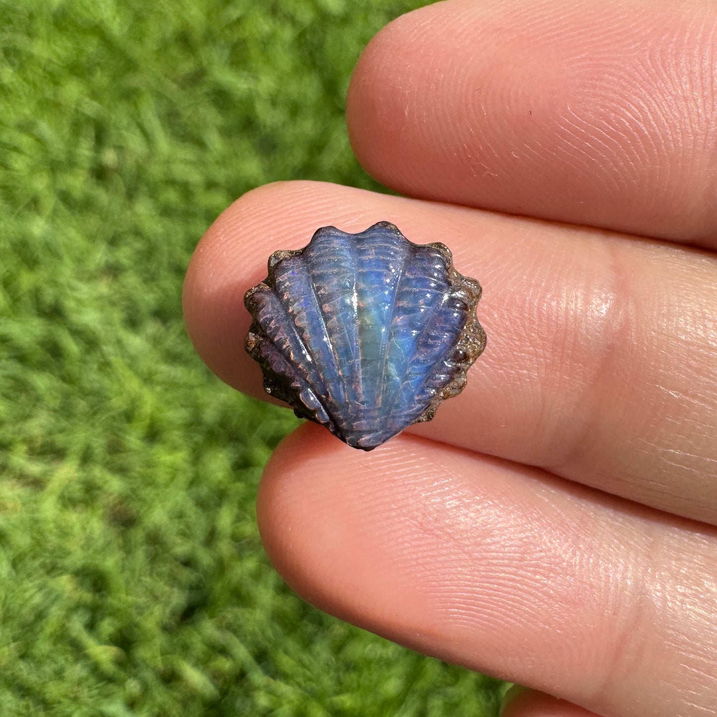 4.03 Ct small fan shell boulder opal