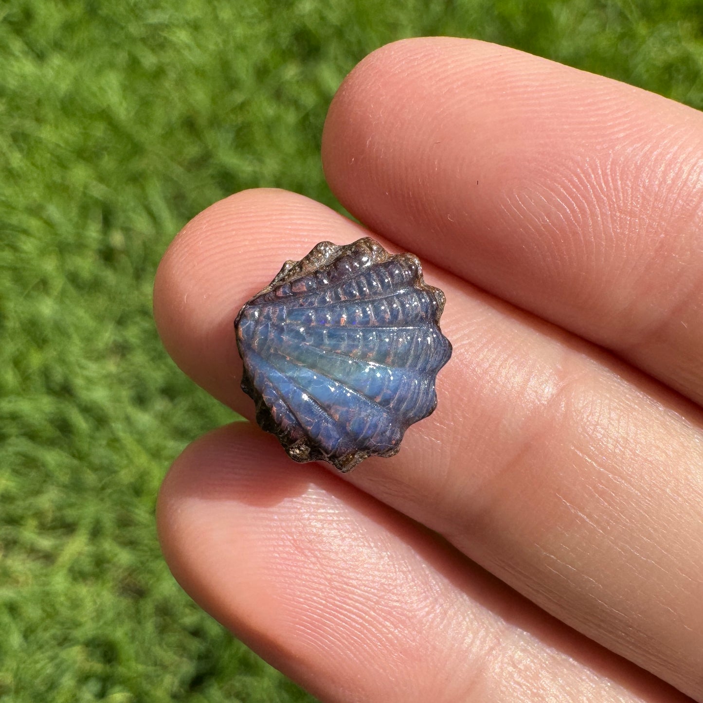 4.03 Ct small fan shell boulder opal