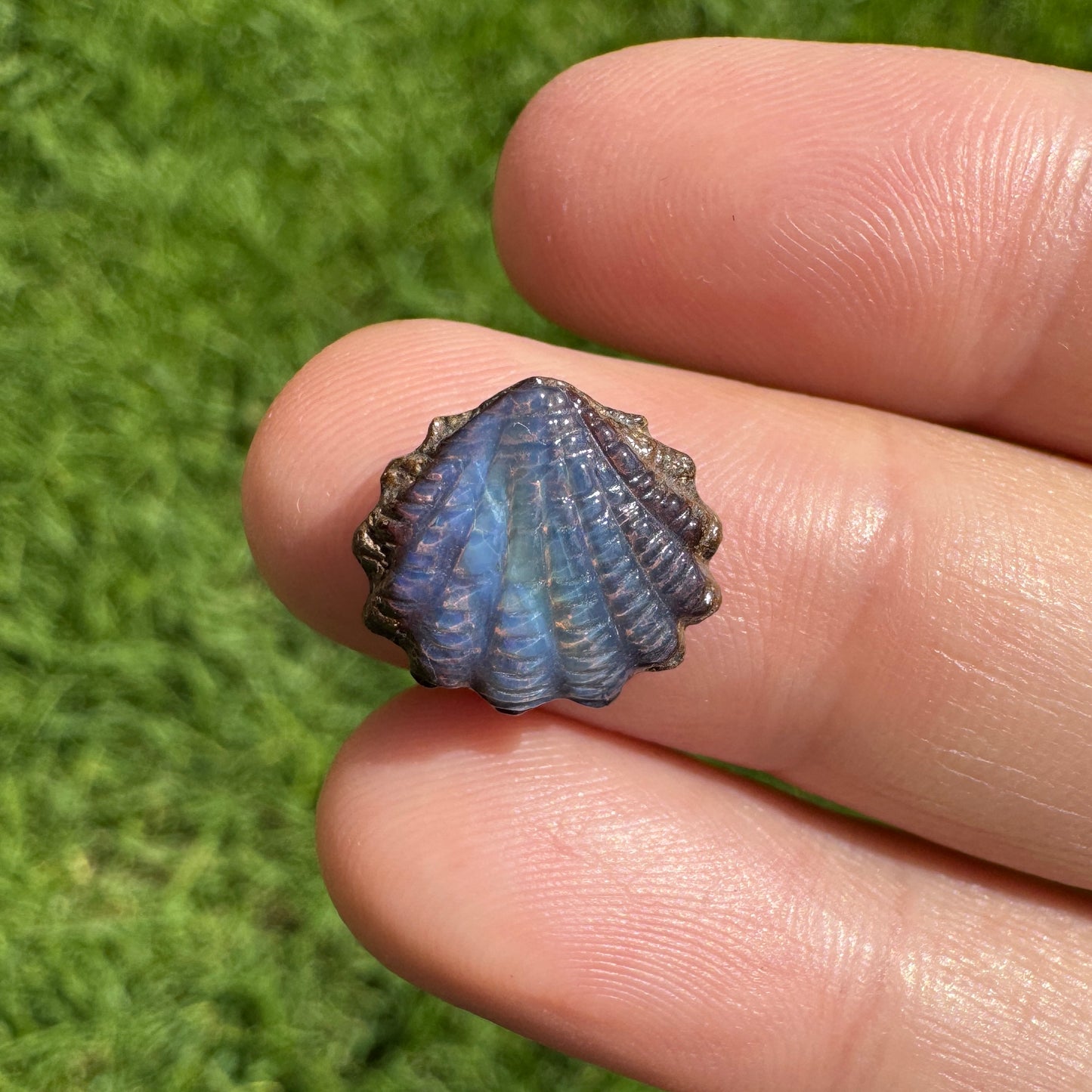 4.03 Ct small fan shell boulder opal