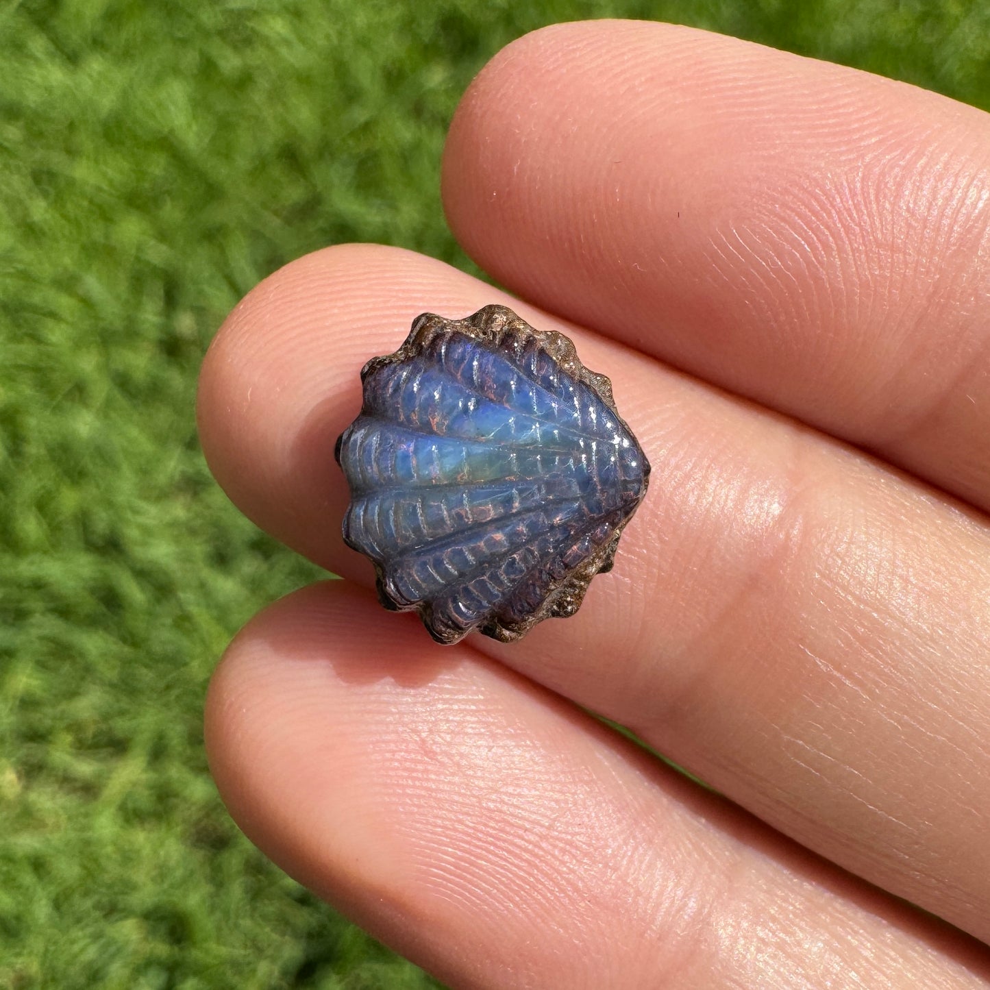 4.03 Ct small fan shell boulder opal