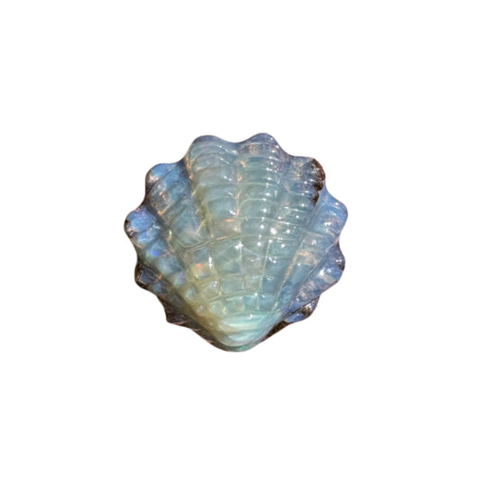 4.44 Ct small fan shell boulder opal