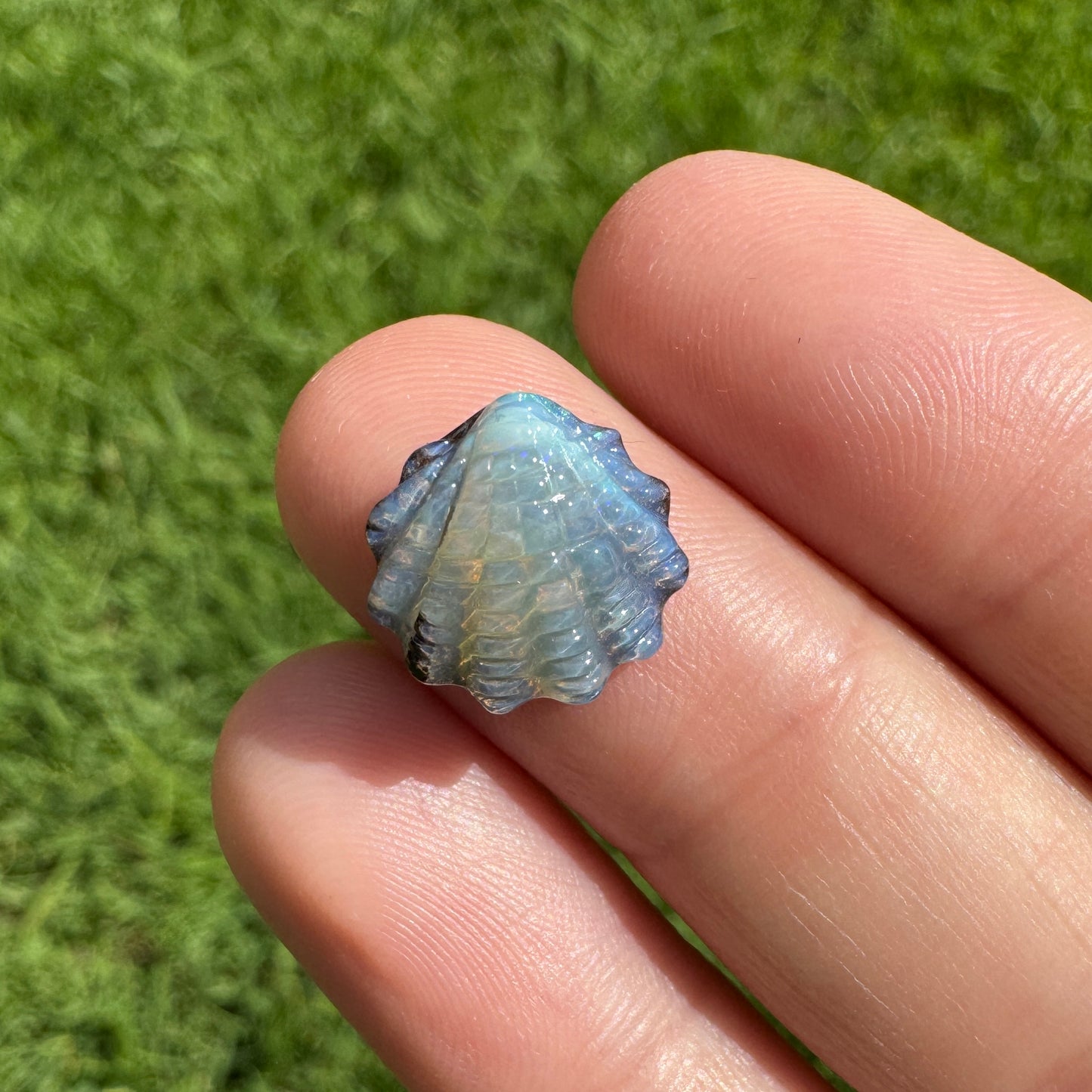 4.44 Ct small fan shell boulder opal