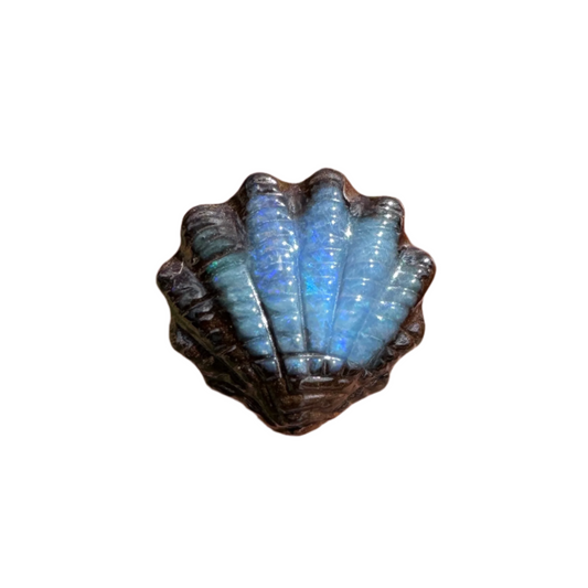 4.15 Ct small fan shell boulder opal