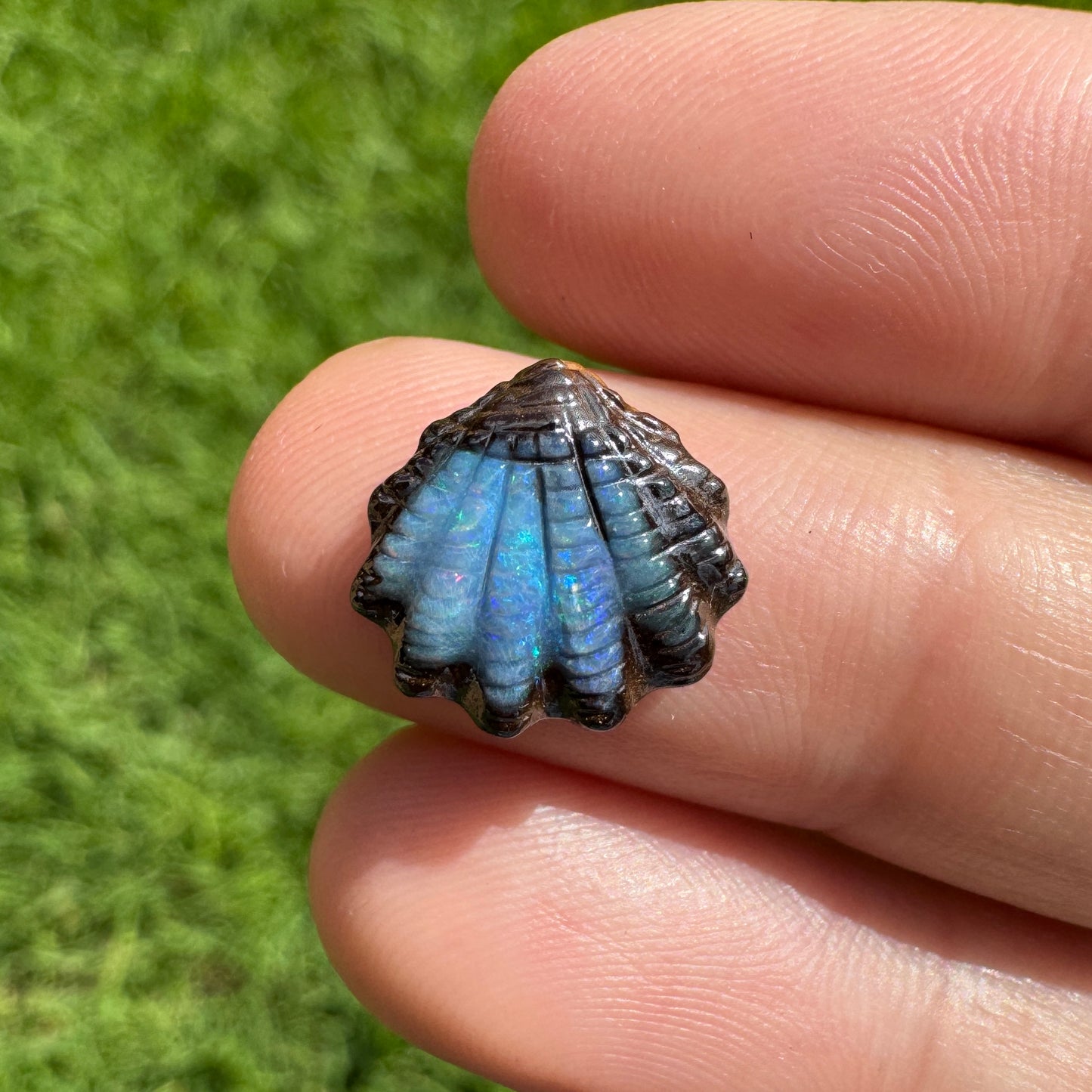 4.15 Ct small fan shell boulder opal