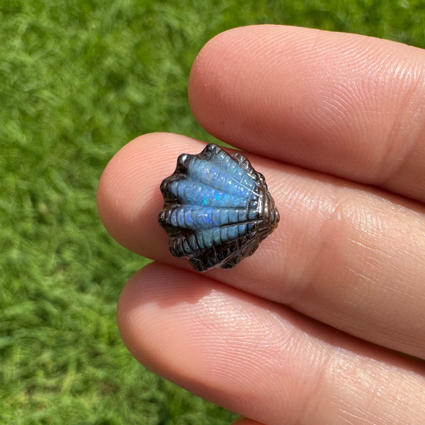 4.15 Ct small fan shell boulder opal