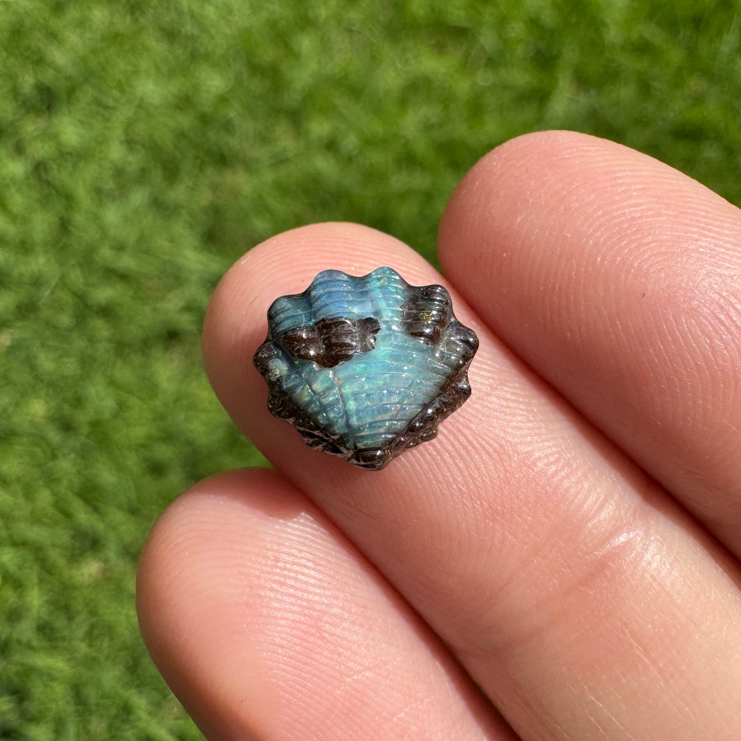 2.50 Ct small fan shell boulder opal