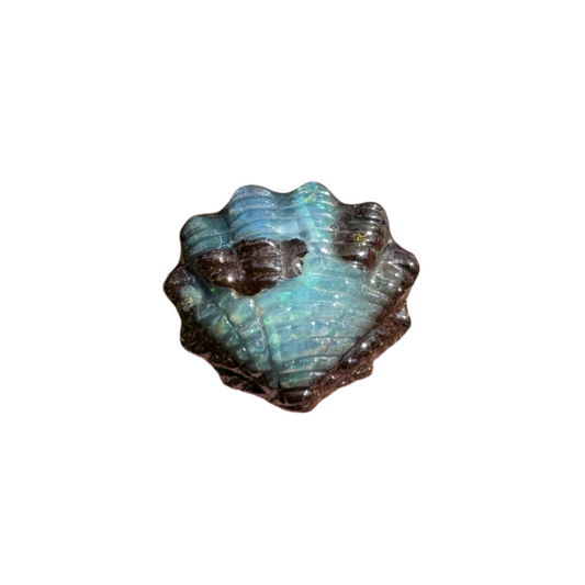2.50 Ct small fan shell boulder opal