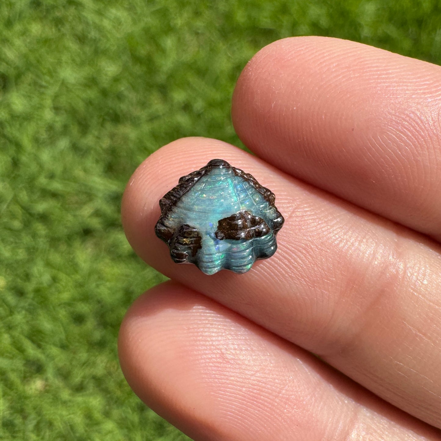 2.50 Ct small fan shell boulder opal
