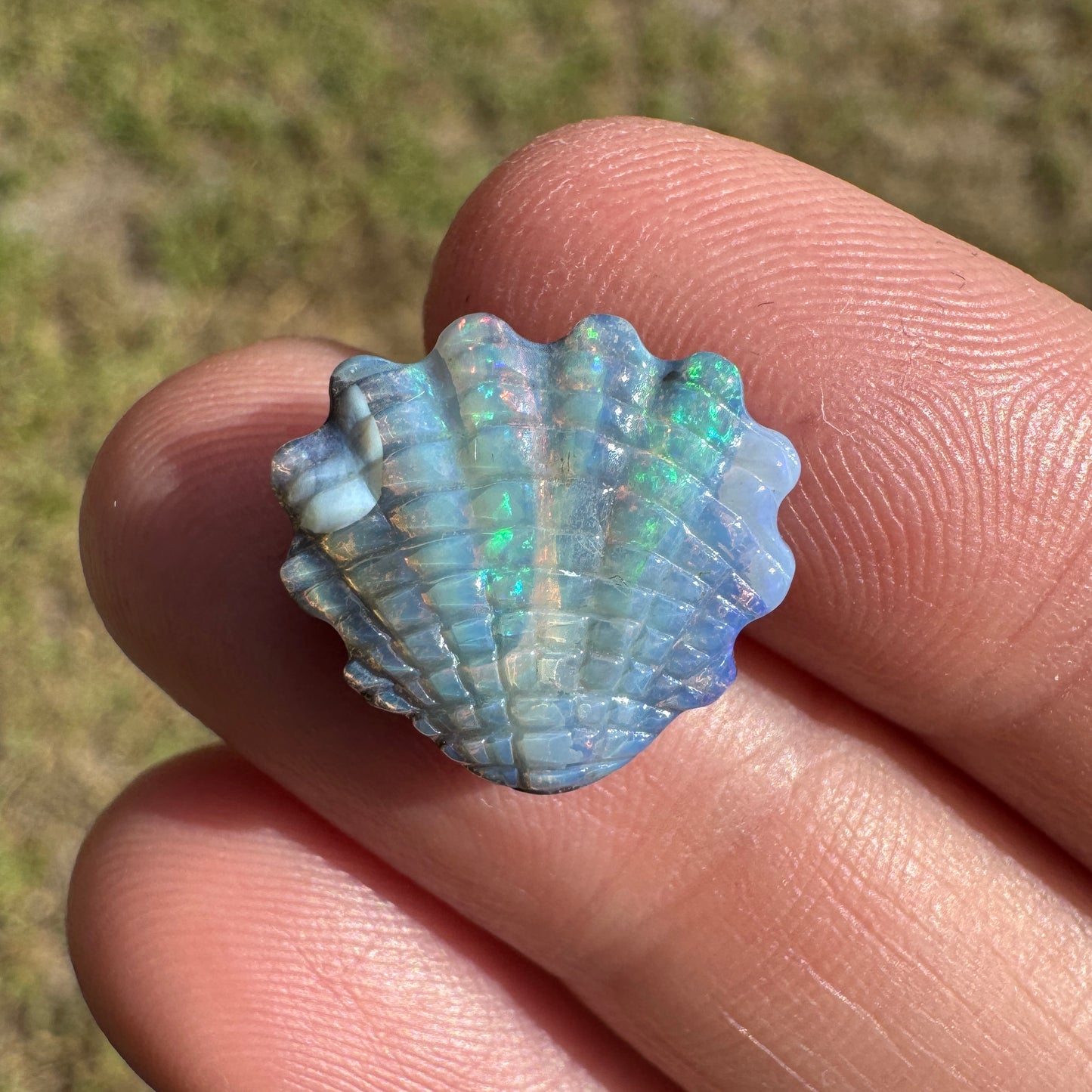 6.53 Ct shell boulder opal carving