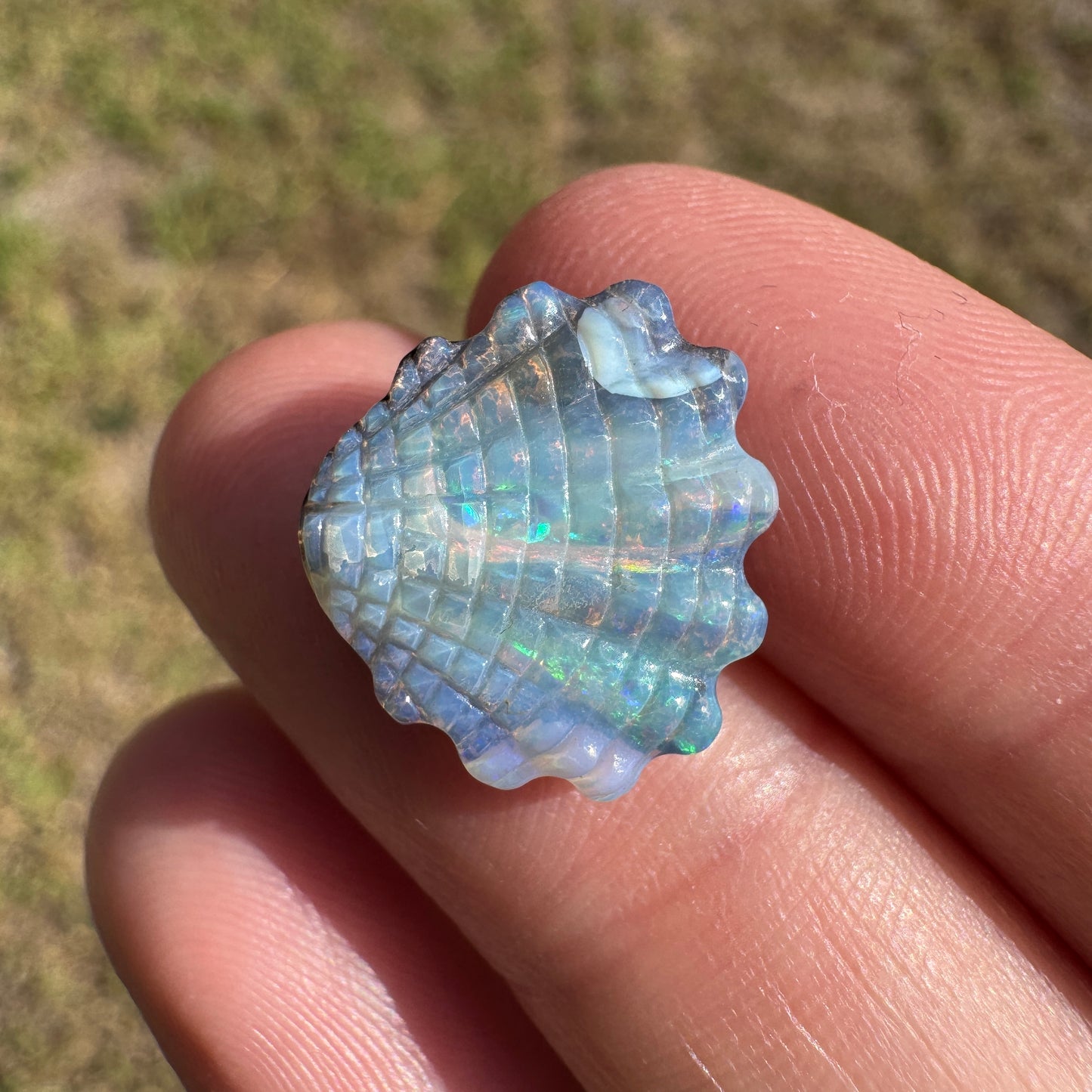 6.53 Ct shell boulder opal carving