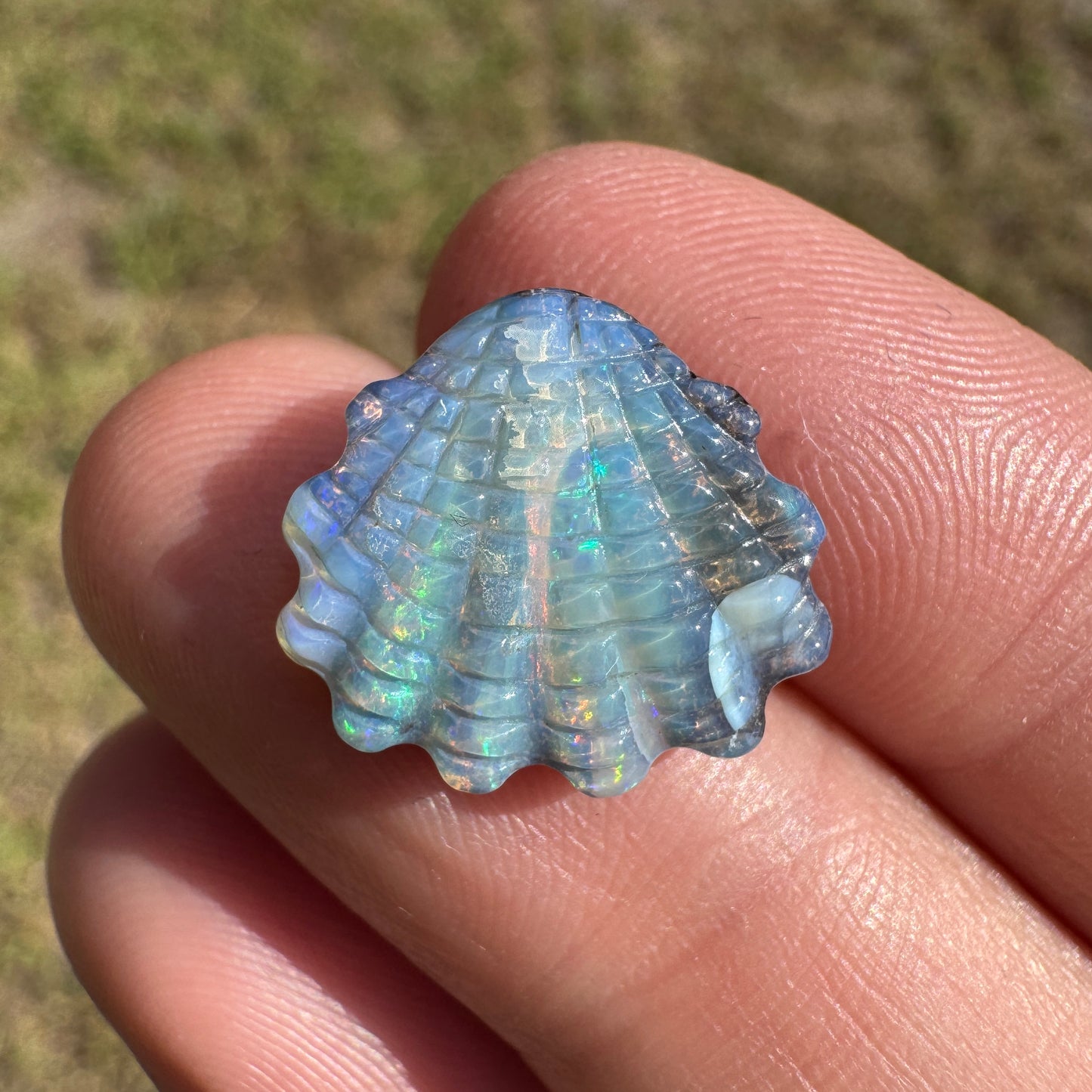 6.53 Ct shell boulder opal carving