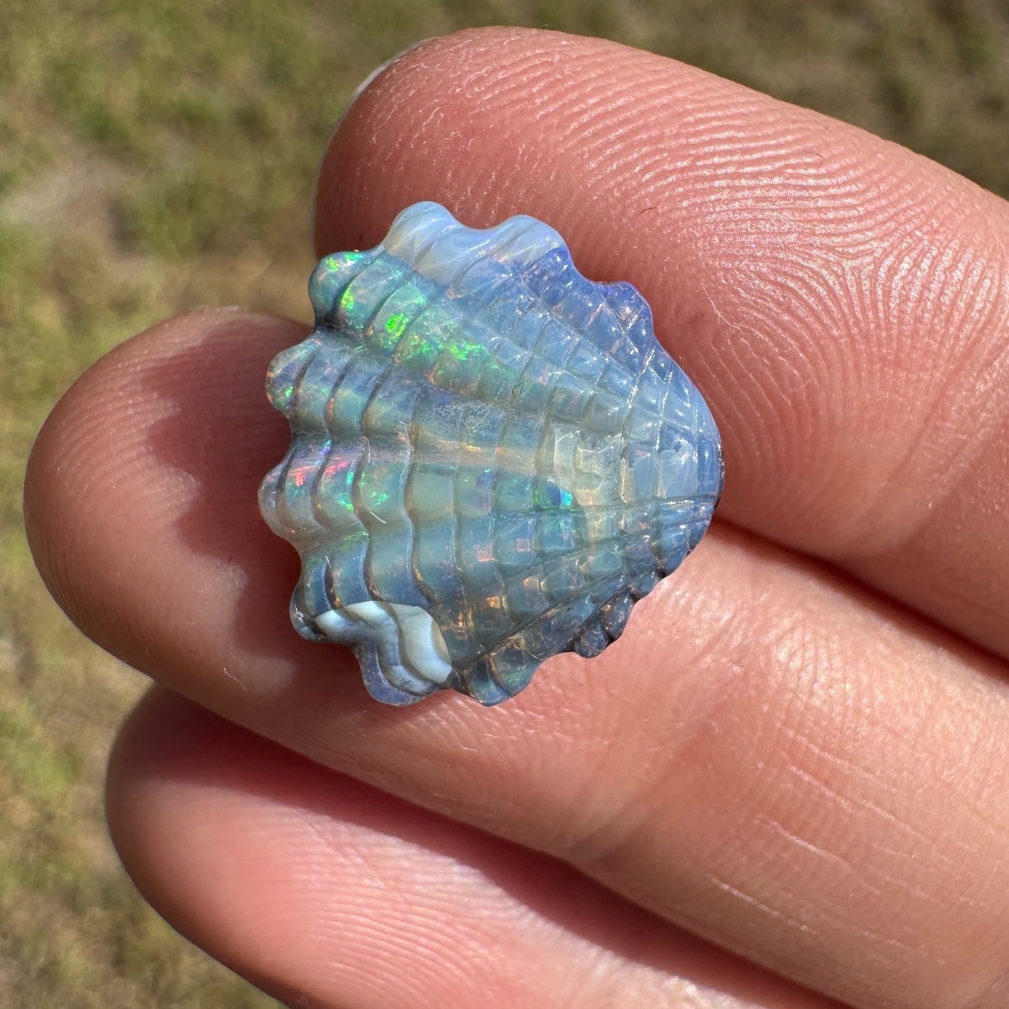 6.53 Ct shell boulder opal carving