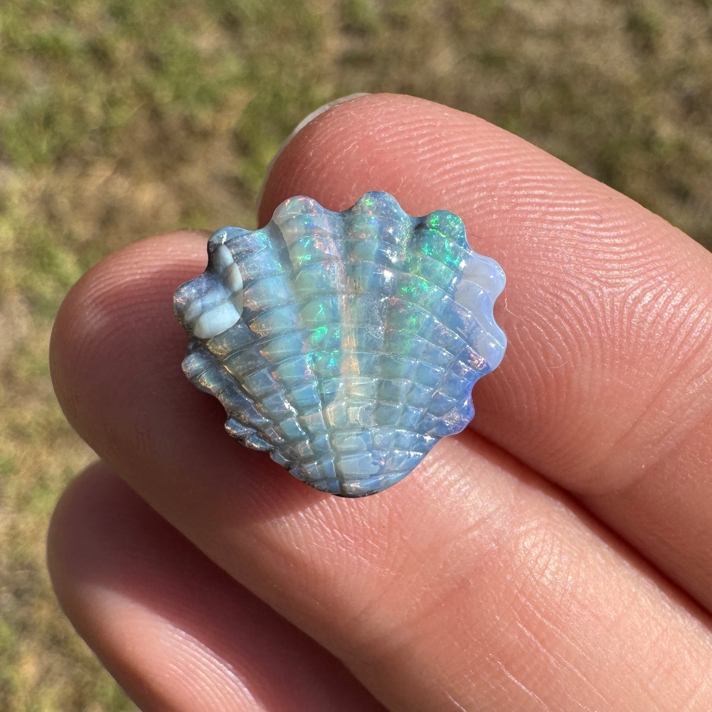 6.53 Ct shell boulder opal carving